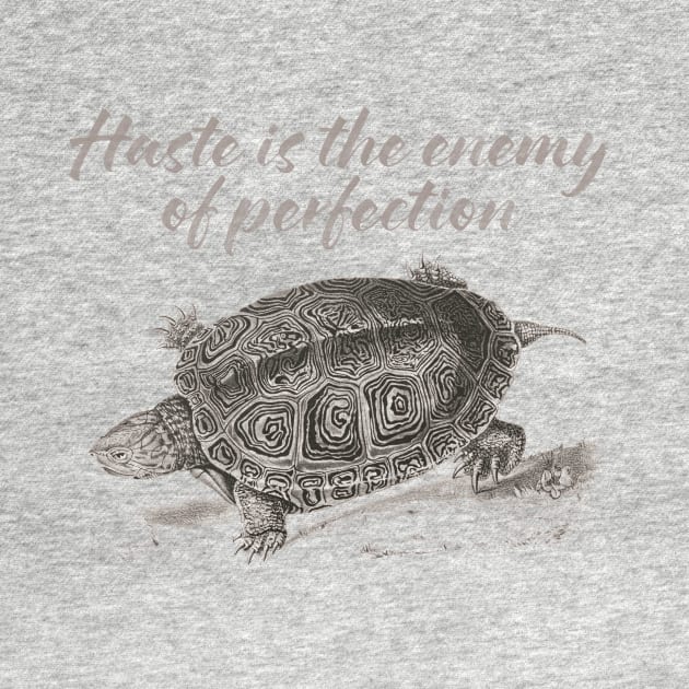 Haste is the enemy of perfection by AntiStyle